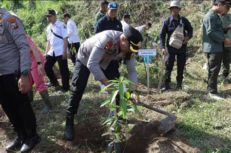 Komunitas Muda Peduli Alam Tanam Seribu Pohon di Area Bekas Tambang