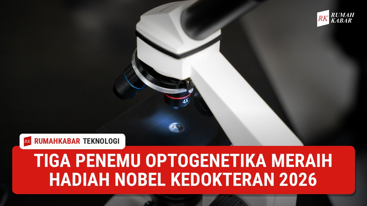 Ilustrasi: Riset neurosains berbasis cahaya merevolusi pemahaman ilmuwan terhadap fungsi otak manusia